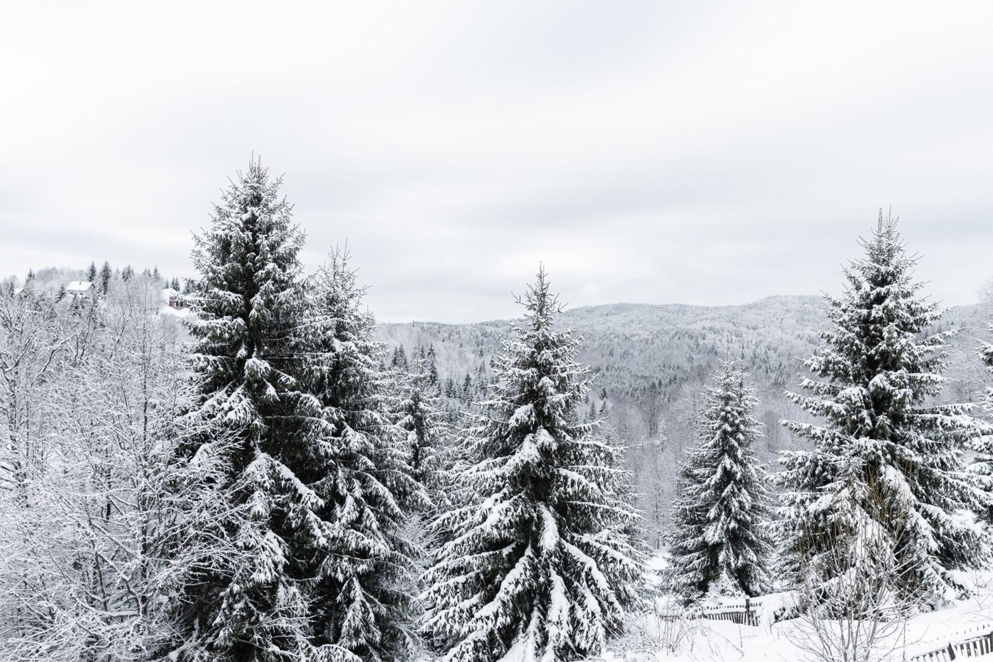 Glecer Kop, Cozy Design Apartment A5, Free Parking Garage Kopaonik Bagian luar foto